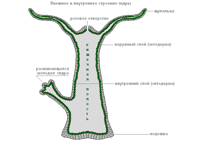 Kra15.cc